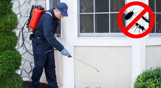 Balçova Hamam Böceği İlaçlama böcek ilaçlama ve haşere kontrolü — ilaclama-tr.com